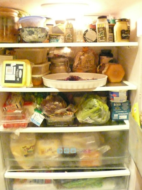 fridge Hardworking and beloved!