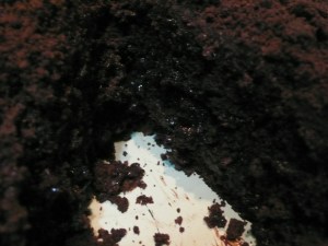 blackout cake Molly O'Neill's blackout cake