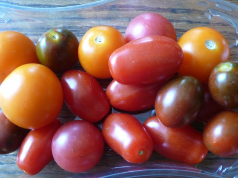 Baby Heirloom Tomatoes Such colour and texture and taste!