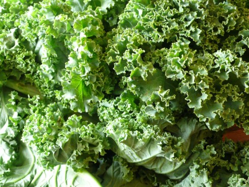 Kale Roasted for dinner tonight :)