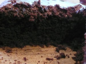 Vegan Chocolate Cake With Vegan Chocolate Icing