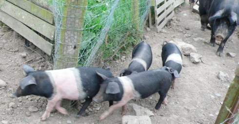 It was like they knew we were coming!