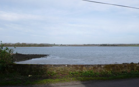 View from the House in March 2012